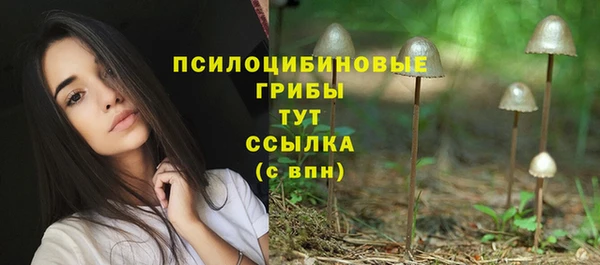 мескалин Карпинск