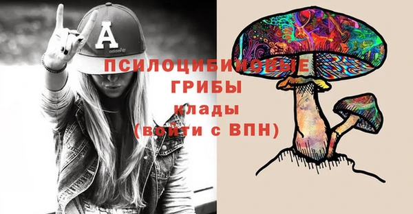 мескалин Карпинск