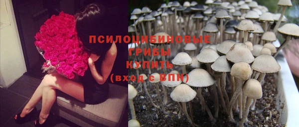 винт Касимов