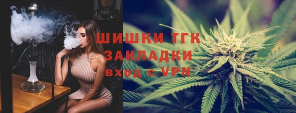 винт Касимов